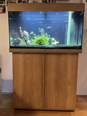 Juwel Aquarium 120 L mit Unterschrank