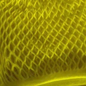 Dessous Set Einheitsgröße neuwertig Bild 2