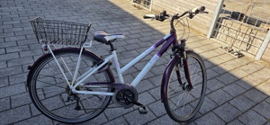 Damenfahrrad 28 Zoll Bild 5