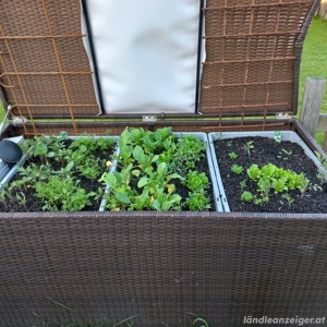 Gartenbox Rattan zu verschenken Bild 2