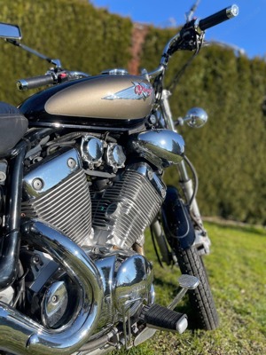 Yamaha Virago XV535 zu verkaufen