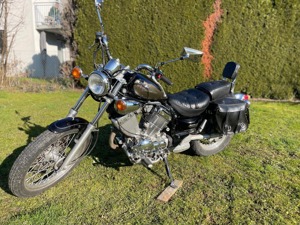 Yamaha Virago XV535 zu verkaufen Bild 5