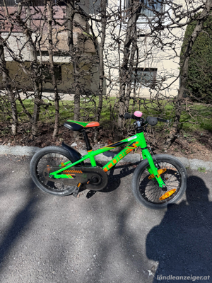 Cube Kid 160 Kinderfahrrad + Stützräder + Schiebestange Bild 4