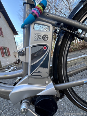 E-Bike Damenrad Bild 4