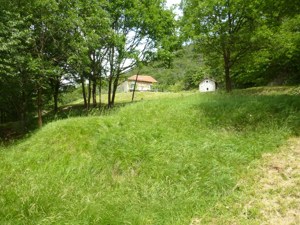 Absolutes Wildnis-Paradies für Naturliebhaber! Bild 5