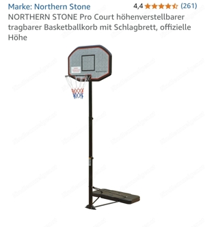 Basketballkorb 