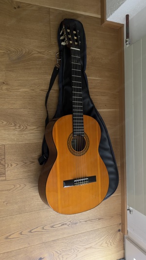 Gitarre mit Tasche