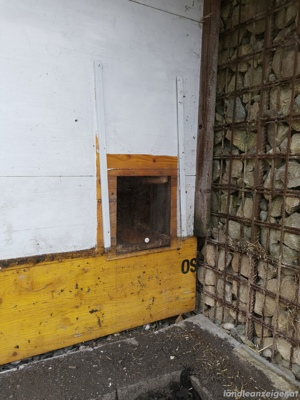Hasen-Stall ca B156 x T156 x H140cm Bild 6