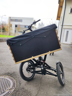 Lastenrad ebike 