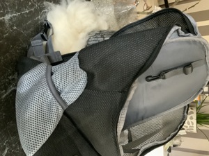 Hunde oder Katzenrucksack NEU Bild 4