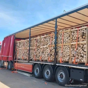 Lkw Brennholz  Bild 4