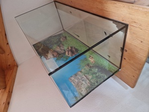 Aquarium 200L Bild 1