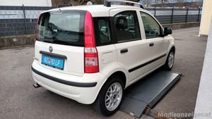 Fiat Panda 1,2L 51kw 61tkm mit gültigem Pickerl Bj. 2011