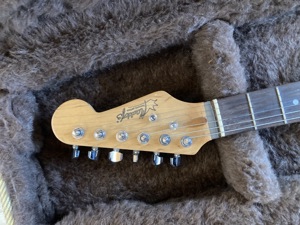 Anfänger E-Gitarre zu verkaufen Bild 2