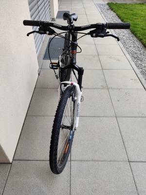 Mountainbike KTM Bild 3