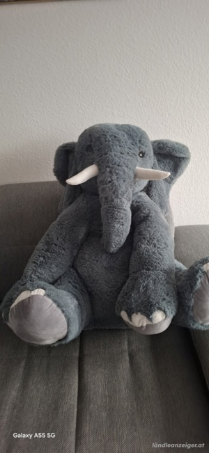  Elefant Bild 2