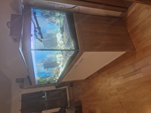 Aquarium zu Verkaufen  Bild 1