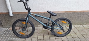 BMX Bulls Bild 1