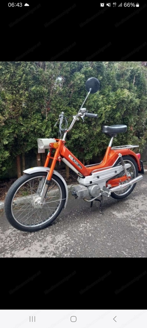 Puch Maxi L Bj 1975 Bild 2