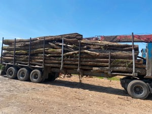 Tonnen-Holztransporter Bild 4