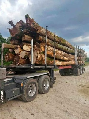 Tonnen-Holztransporter Bild 3