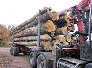 Tonnen-Holztransporter Bild 1