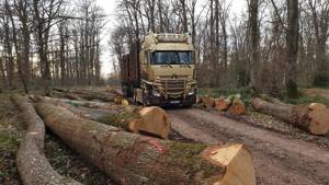 Holztransporter  30 Bild 6