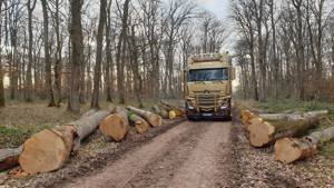 Holztransporter 60  Bild 5