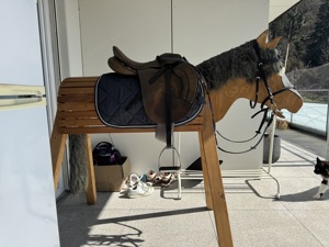 Holzpferd  Bild 3