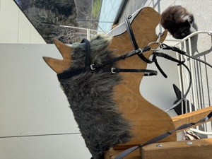 Holzpferd  Bild 2