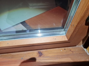 Fenster Fichtrnholz mit neuem 2fach Isolier Glas  Bild 4