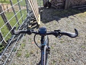 E-Bike Damen Bild 2