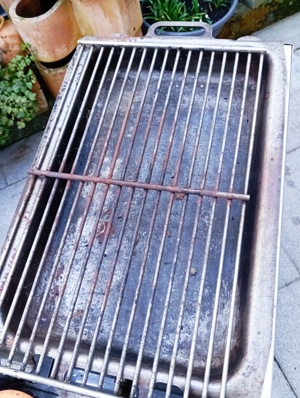 Gasgrill Einflammig Edelstahl Bild 1