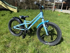 Kinderfahrrad Scool Faxe 19 Zoll Bild 1