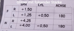 KARL LAGERFELD Damenbrille Brillenfassung Bordeauxrot gebürstet gold Vollrand Bild 4