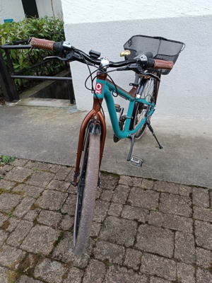 Kraftstoff-Kinderfahrrad Bild 2