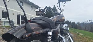 Harley Davidson - Sportster XL883C Bild 4
