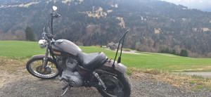 Harley Davidson - Sportster XL883C Bild 5