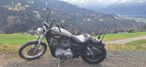 Harley Davidson - Sportster XL883C Bild 6