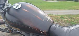 Harley Davidson - Sportster XL883C Bild 3