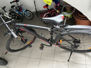 Fahrrad 29 zoll