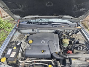 Nissan Almera Diesel Bild 1