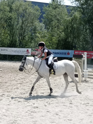 Suche Reitbeteiligung