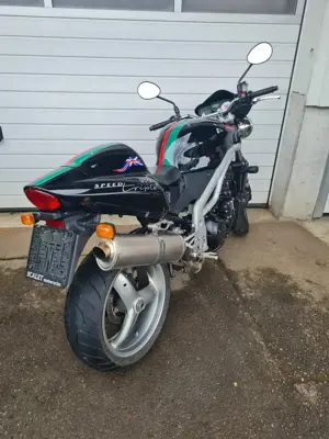 Triumph Speed Triple 955i Bild 5