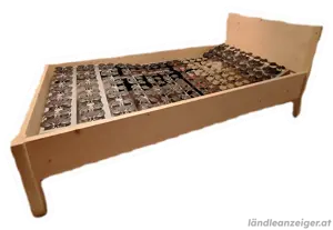 elektrisch verstellbarer Lattenrost, 100x200cm WenaTex Bild 2