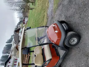 Golfcaddy  Bild 3