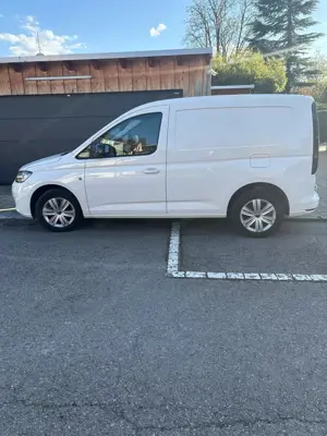 VW Caddy 1 Besitz Cargo Entry TDI mit Standheizung LKW Zulassung Bild 5