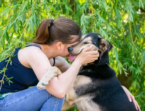 Familienhund Vorshun sucht ein Zuhause Bild 7