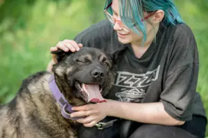 Aquila, der perfekte Hund mit besonderen Bedürfnissen sucht eine Familie Bild 4