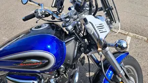 Motorrad Suzuki AF VZ 800  Bild 5